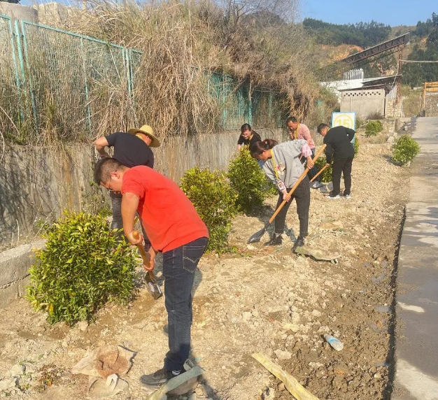 福建省明欣集团有限公司党支部开展“植树添绿，贡献力量”主题党日活动(图1)